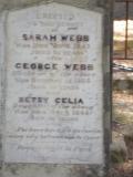 image of grave number 483597